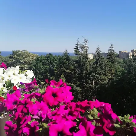 Apartament Kujawska *